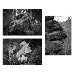 Gesichter in der Natur