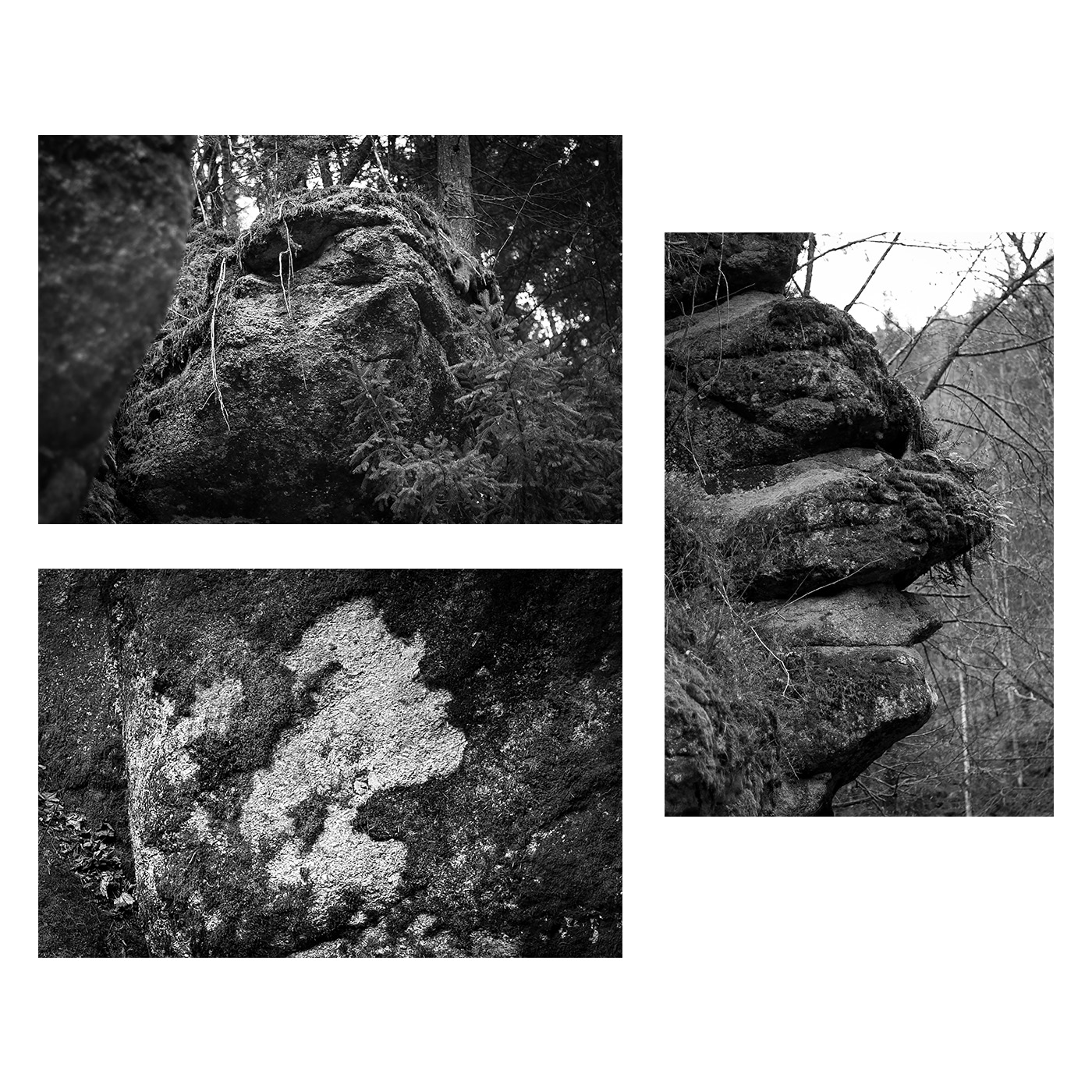 Gesichter in der Natur